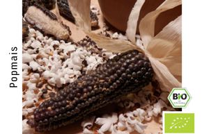 Ma�s � pop-corn NegroCine BIO