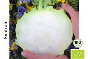 Chou-rave 'Gigant/Superschmelz' (G�ant/Super fondant) BIO