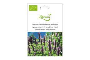 Agastache, Menthe de Cor&eacute;e