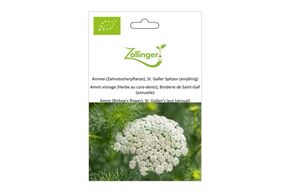 Ammi Visnage, Broderie de Saint-gall