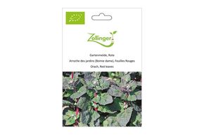 Arroche des Jardins, Feuilles Rouges