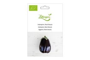 Aubergine, Black Beauty