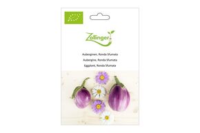 Aubergine, Ronda Sfumata