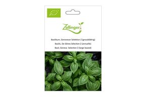 Basilic, de G&ecirc;nes S&eacute;lection Z