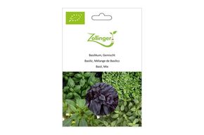 Basilic, M&eacute;lange de Basilics