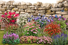 Massif de vivaces 'Bee Kind'