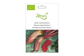 Betterave, Cylindre S&eacute;lection Z
