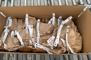 30 paquets de bulbes de fleurs diff�rents