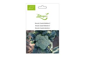 Brocoli, Coastal S&eacute;lection Z