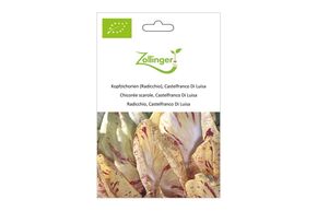 Chicor&eacute;e Scarole, Castelfranco Di Luisa