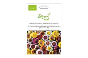 Chrysanth&egrave;me &agrave; Car&egrave;ne, M&eacute;lange Extra