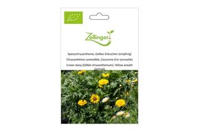 Chrysanth&egrave;me Comestible, Couronne d'Or