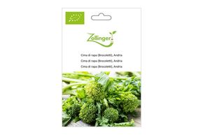 Cima di Rapa (Brocoletti), Andria