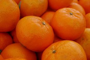 Cl�mentine 'Mandared'