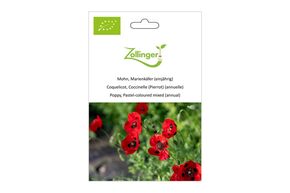 Coquelicot, Coccinelle