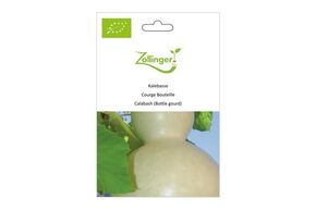 Courge Bouteille, Maracas