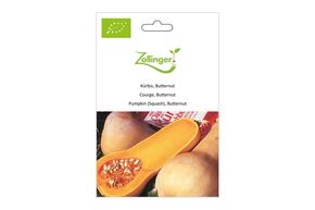 Courge Musqu&eacute;e, Butternut