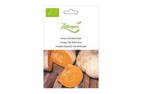 Courge Potiron, Flat White Boer