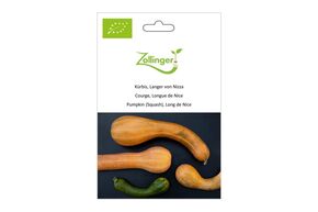 Courge Musqu&eacute;e, Long de Nice