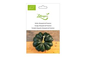 Courge Musqu&eacute;e, Musqu&eacute;e de Provence