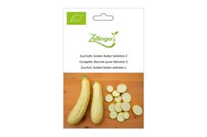 Courgette, Beurr&eacute;e Jaune S&eacute;lection Z