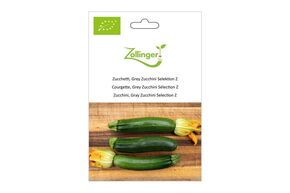 Courgette, Grey Zucchini S&eacute;lection Z