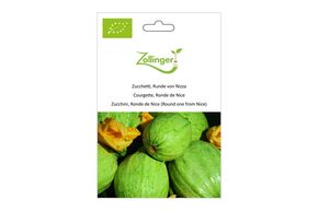 Courgette, Ronde de Nice