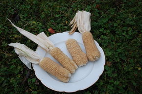 Ma�s � pop-corn Bear Paw BIO