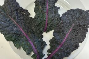 Chou arborescent Everkale� Palmylilly