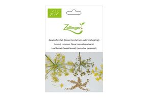 Fenouil Commun, Doux