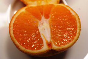 Mandarine pr�coce 'Avena apirena'