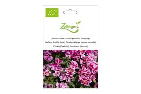 Godetia 'Fleurs de satin'