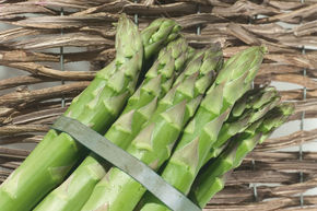 Asperge verte Lubera� VerteVite�
