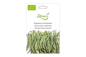 Haricot &agrave; Rames, La Vigneronne