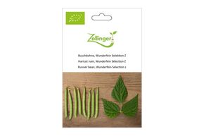 Haricot Nain, Wunderfein S&eacute;lection Z