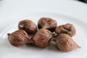 Noix de c&oelig;ur 'Valentines'