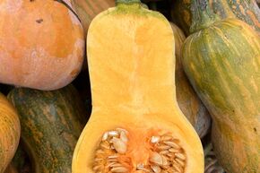 Courge butternut 'Honeynut'