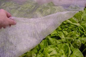 Filet climatique 2x5m