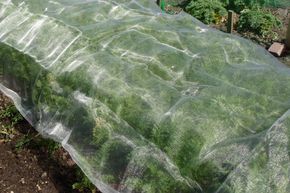 Kohlfliegennetz 1.83m x 3m