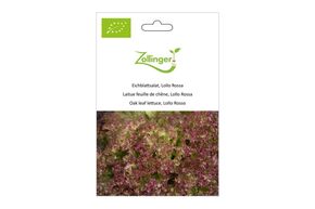 Laitue Feuille de Ch&ecirc;ne, Lollo Rossa