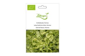 Laitue Feuille de Ch&ecirc;ne, Parinice