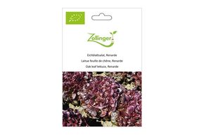 Laitue Feuille de Ch&ecirc;ne, Renarde