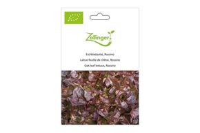 Laitue Feuille de Ch&ecirc;ne, Rossino