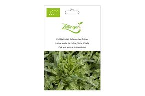 Laitue Feuille de Ch&ecirc;ne, Verte d'Italie