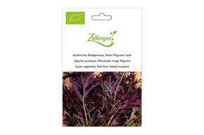 L&eacute;gume Asiatique, Moutarde 'Rouge Filigrane'