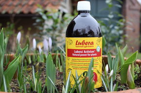 Lubera� Activizer� Micro-organismes efficaces (EM)