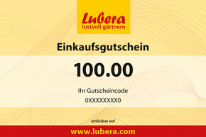 Bon pour des plantes 100.-