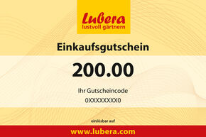 Bon pour plantes 200