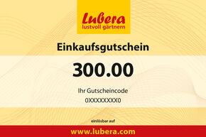 Bon pour plantes 300
