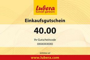 Bon pour des plantes 40.-